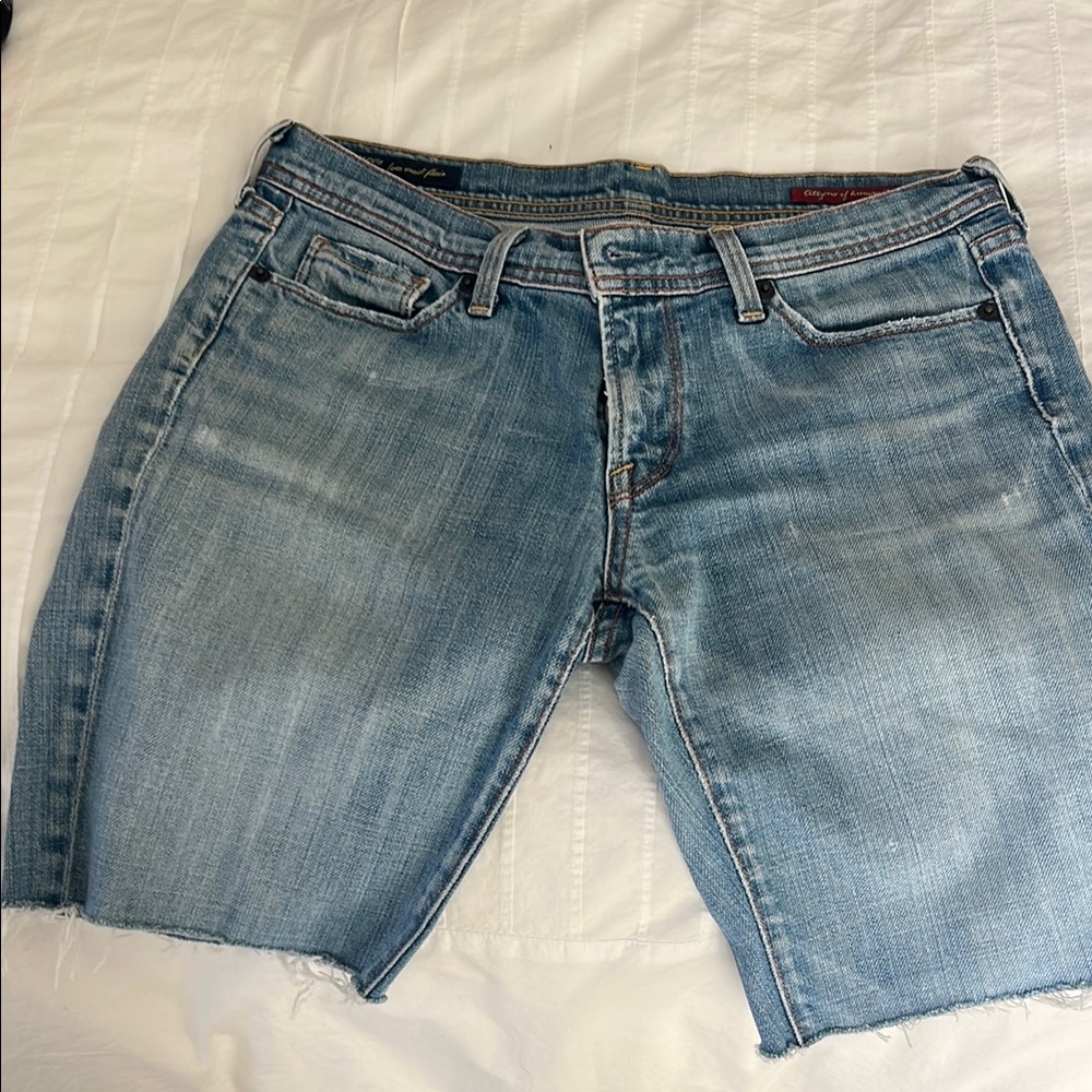 Citizens of Humanity Vintage Blue Denim Cutoffs